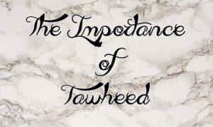 The Importance of Tawheed 6 The Importance of Tawheed