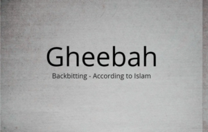 Gheebah 8 Gheebah