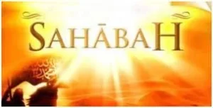 The Efforts of the Sahaabah in Spreading Islam 6 The Efforts of the Sahaabah in Spreading Islam